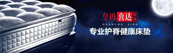 成都家具品牌前十名成都家具品牌有哪些(10)
