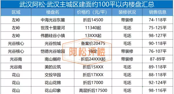 武汉小户型楼盘有哪些啊(5)
