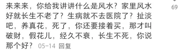 客厅可以放假花吗有什么影响吗一(11)