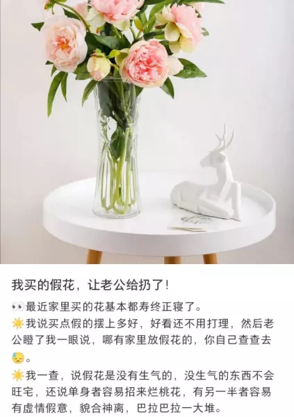 客厅可以放假花吗有什么影响吗一(3)