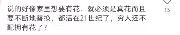 客厅可以放假花吗有什么影响吗一(4)
