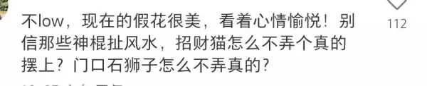 客厅可以放假花吗有什么影响吗一(5)