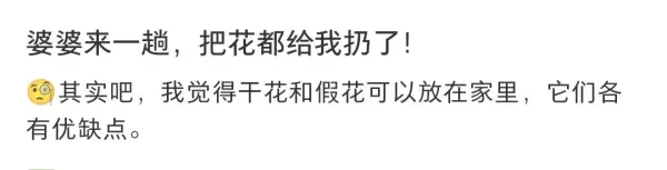 客厅可以放假花吗有什么影响吗一(6)