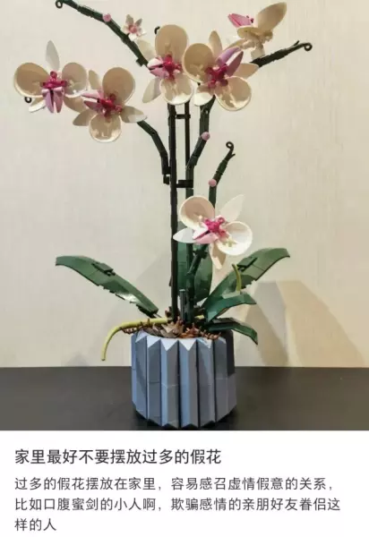 客厅可以放假花吗有什么影响吗一(7)