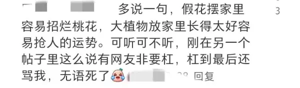 客厅可以放假花吗有什么影响吗一(9)