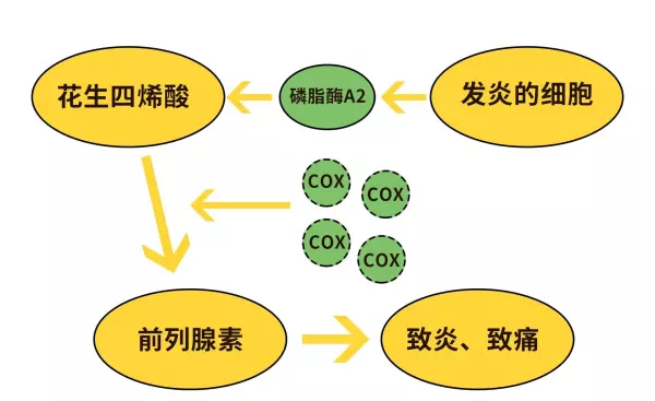 天花板效应是指什么止痛药(2)