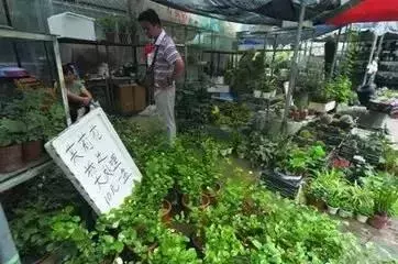 南京红太阳装饰城属于哪个街道(1)