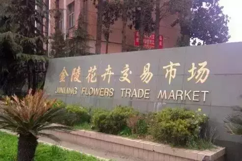 南京红太阳装饰城属于哪个街道(2)
