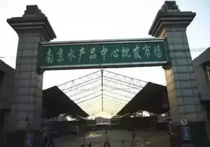 南京红太阳装饰城属于哪个街道(4)