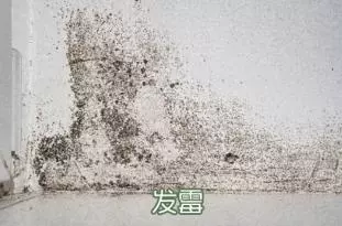 立邦刷新服务80平米房子刷新价格(2)