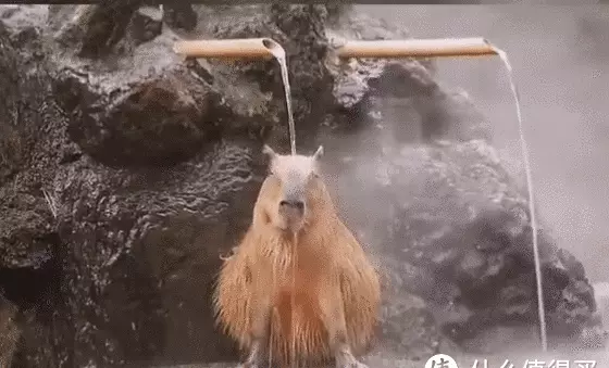燃气热水器jsg是什么意思(1)