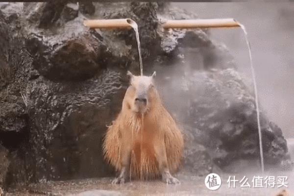 燃气热水器jsg是什么意思.