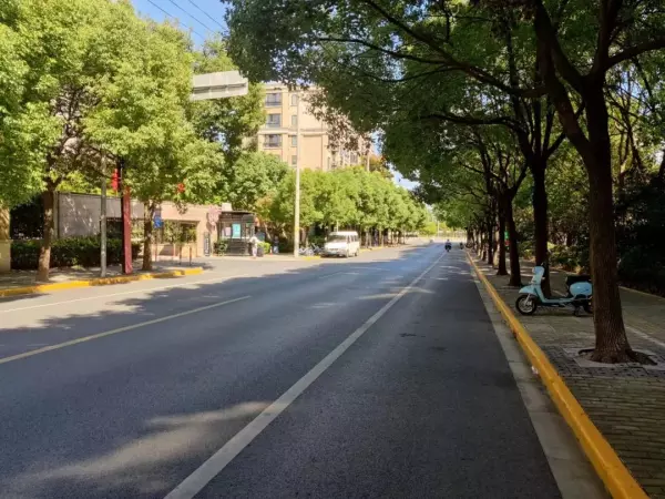 浦江镇房价贝壳最新价格(12)