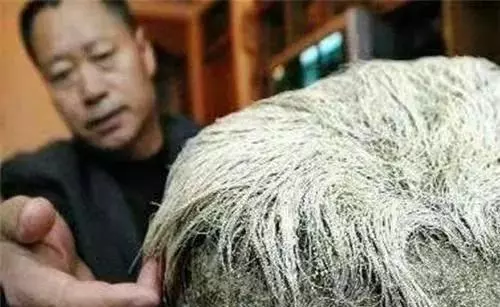 虎眼石价格3000贵吗(6)