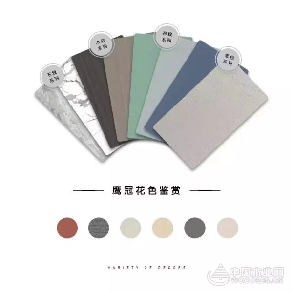 鹰冠板材是什么档次的品牌(10)