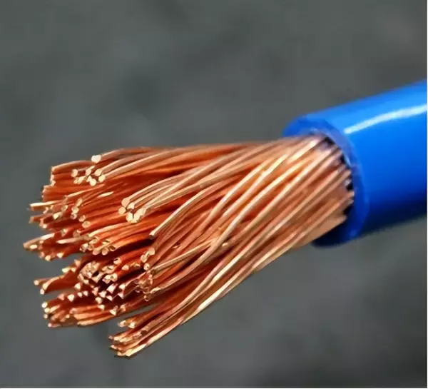 新加坡电压是110v还是220v(15)