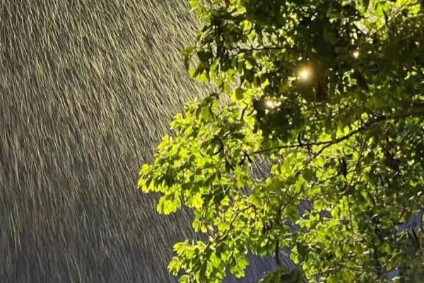 跃廊式住宅户门下雨会进水吗.