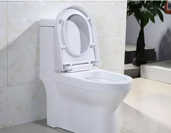 陶瓷洁具品牌十大排名(2)