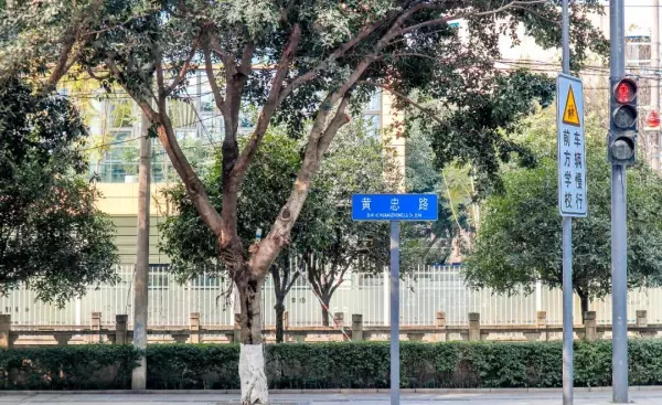 黄忠小区名字怎么来的(27)
