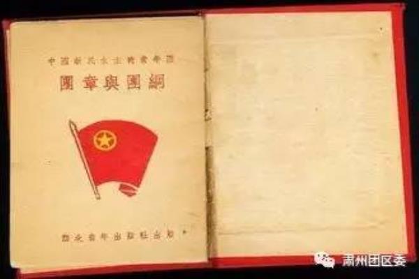 x团申请书怎么写.