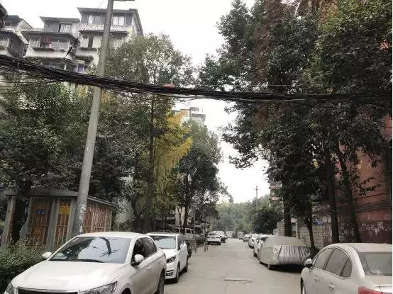 成都五大花园是哪五大花园(7)