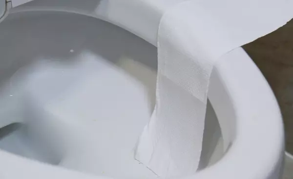 卫生纸掉进马桶里马桶会堵吗(4)