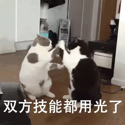 t4灯管和led灯有什么区别(10)