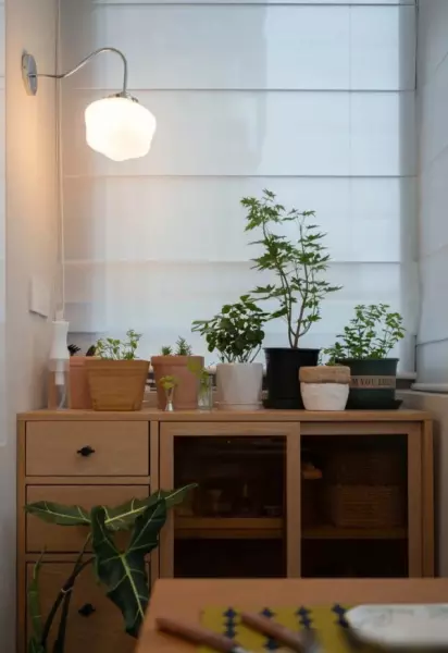 收纳充足的小户型装修(6)