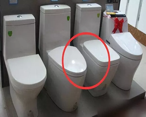 老人厕所装修座厕怎么选(1)
