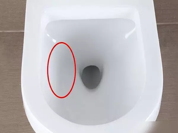 老人厕所装修座厕怎么选(3)