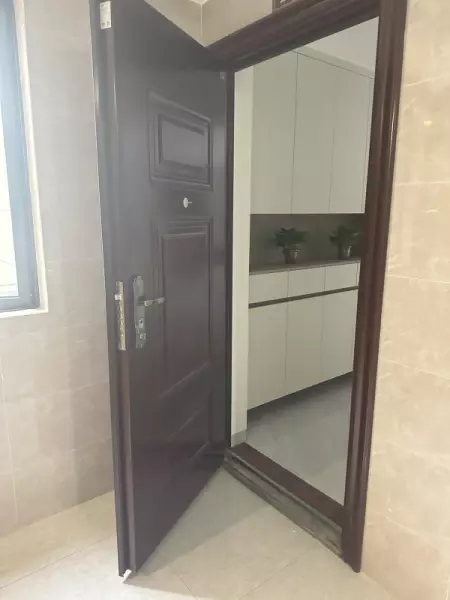 家用装修防盗家用防盗门高档的门(2)
