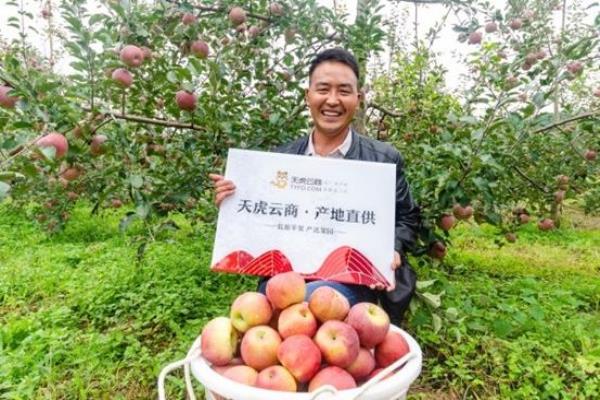 天虎云商是什么.