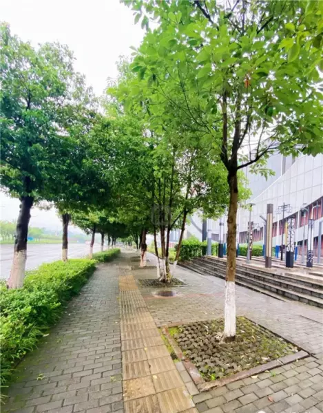 重庆建材市场批发市场在哪里(29)