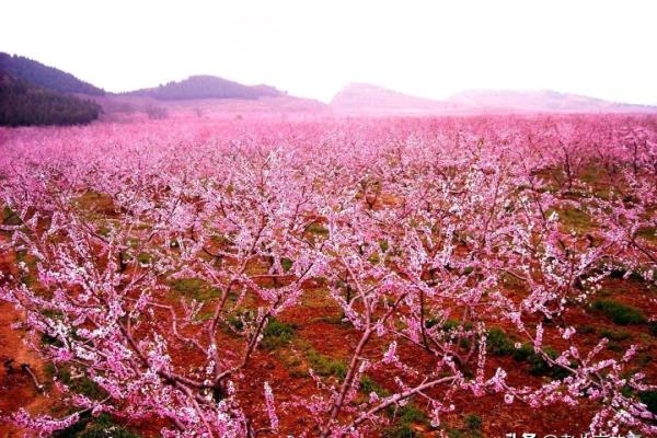 110221身份证开头是北京哪个区.