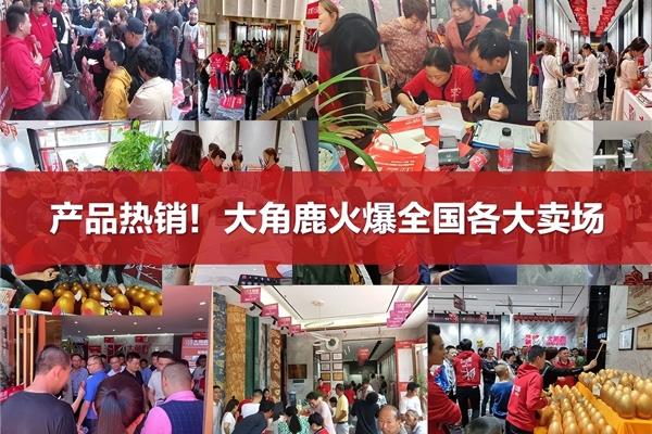 郎玛瓷砖是十大品牌吗.