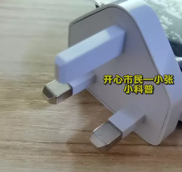 越南插座是德标还是英标(7)