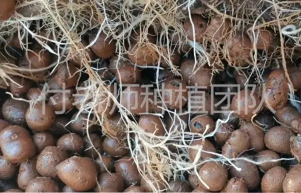 陶粒价格多少钱一个立方多少吨(1)