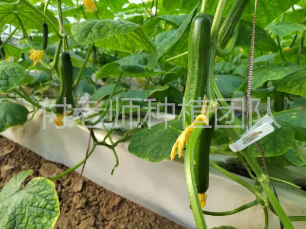 陶粒价格多少钱一个立方多少吨(2)