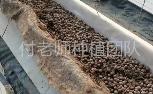 陶粒价格多少钱一个立方多少吨(3)