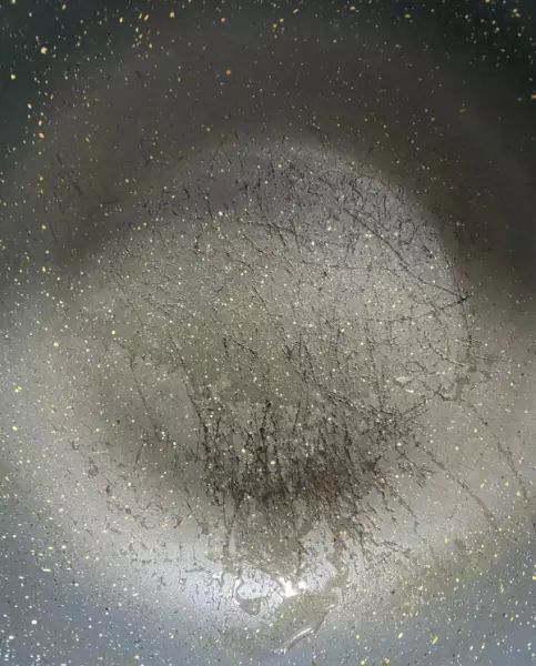 乐百惠的锅怎么样(2)
