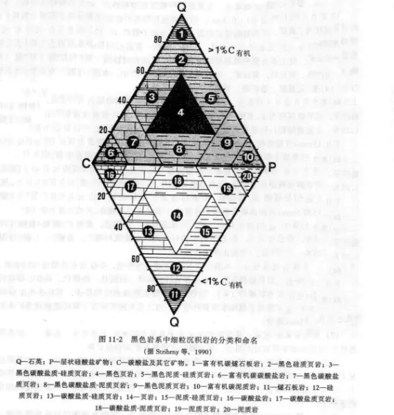 黑色板岩是变质岩吗(12)