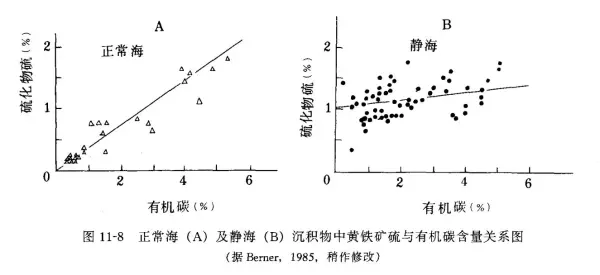 黑色板岩是变质岩吗(25)