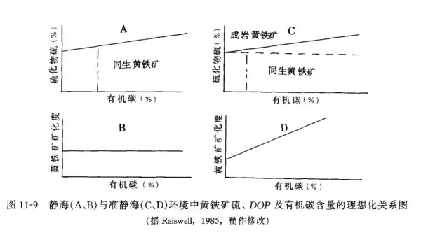 黑色板岩是变质岩吗(26)