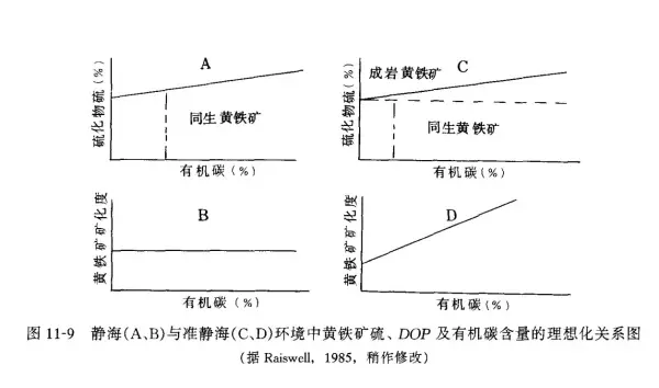 黑色板岩是变质岩吗(27)