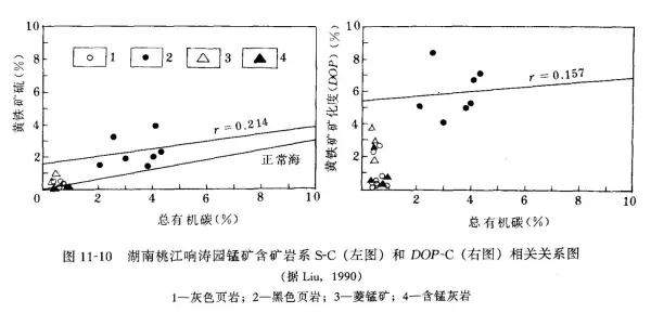 黑色板岩是变质岩吗(28)