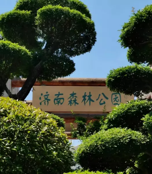 济南宜家附近有什么好玩的地方(4)