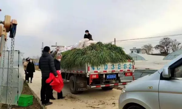 郑州亚太明珠属于哪个办事处(19)