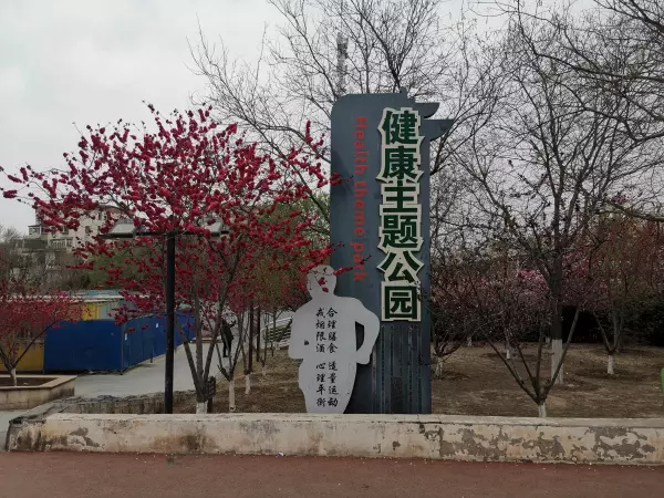 天津洪湖里附近有什么好玩的(11)