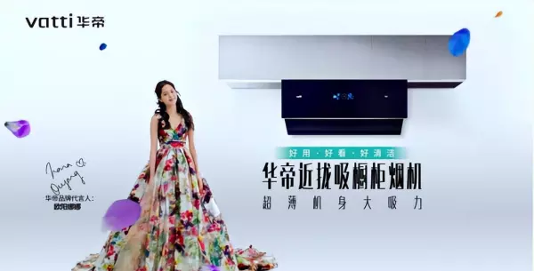 华蒂雅和华帝是一家吗是真的吗(3)
