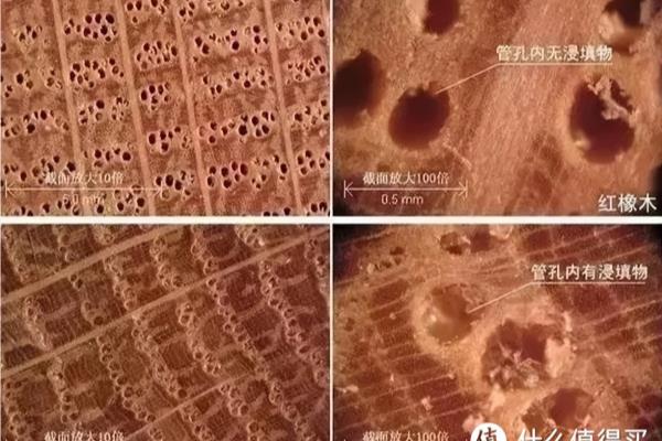 真正白橡木家具价格.